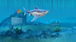 акуленок я туруру акуленок я туруру