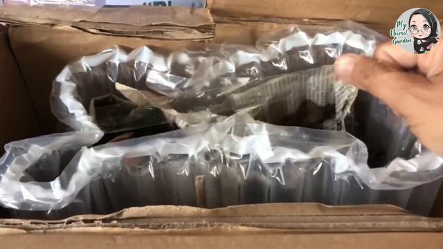 SHOPEE UNBOXING PART #8 : Calathea White Fusion / Caladium Strawberry Stars смотреть онлайн