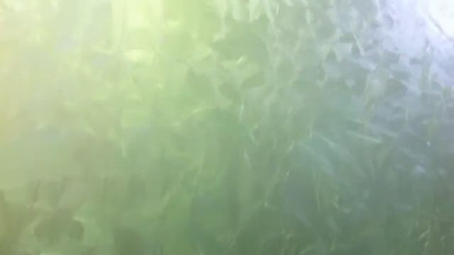 Морозный рисунок капота ауди смотреть онлайн
