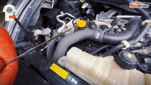 NISSAN JUKE All Fluid Level Check Under The Bonnet  Optimal Performance |  Complete Guide  ???️