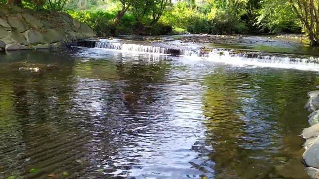 Очень красивое видео о природе // Звуки природы. Шум воды // Лесной ручей. Осенний пейзаж / Релакс смотреть онлайн