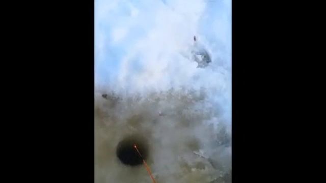 Корюшка  Сухое море  Ульмица.mp4