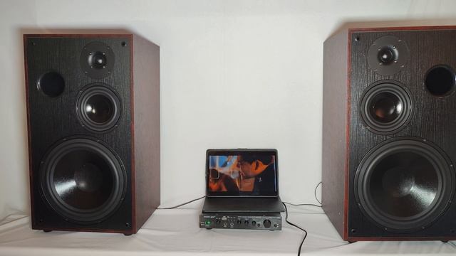 #soundking SK10E 3Way Speaker, Review & Sound Test смотреть онлайн
