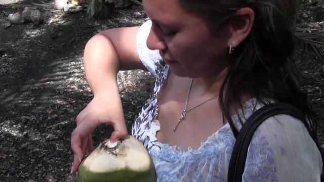 How to Drink From a Coconut смотреть онлайн