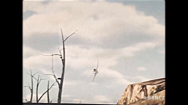 After Dark War Thunder смотреть онлайн