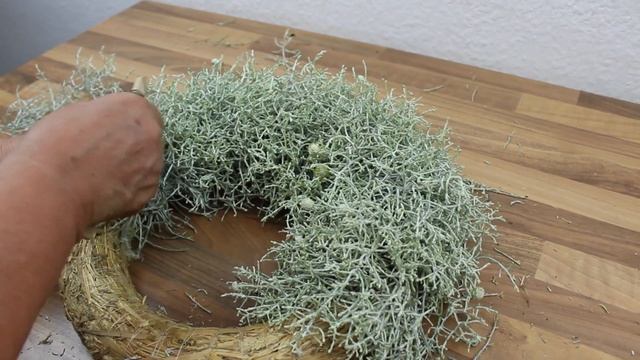 Floristik Anleitung ❁ Calocephalus Kranz (Stacheldrahtkranz) selber binden ❁ Flora-Shop смотреть онлайн