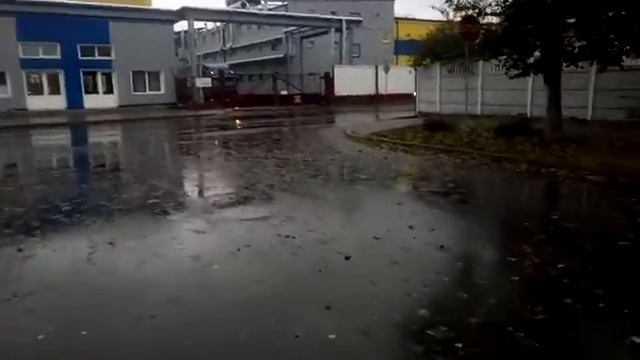 Благоустройство возле Борисовдрев смотреть онлайн