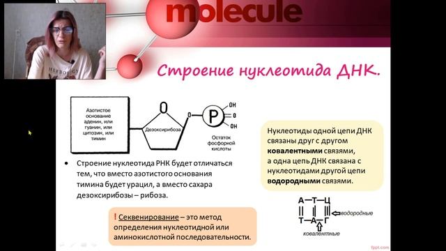 ДНК, РНК, АТФ в ЕГЭ по био! смотреть онлайн