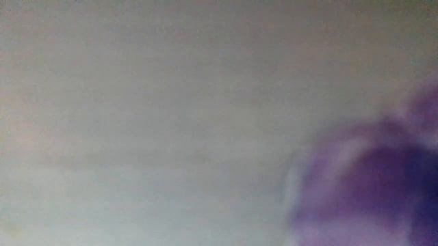 Мухи(Пять мух кругом летают.Танцуют и поют.Одну из них поймали.Ещё четыре тут(наброски)