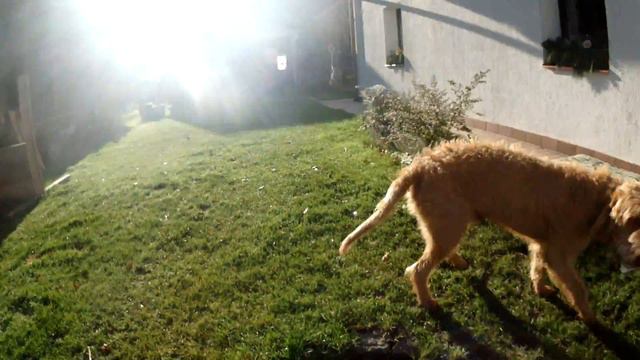 O tvaroháček se Arísek dělí nerad