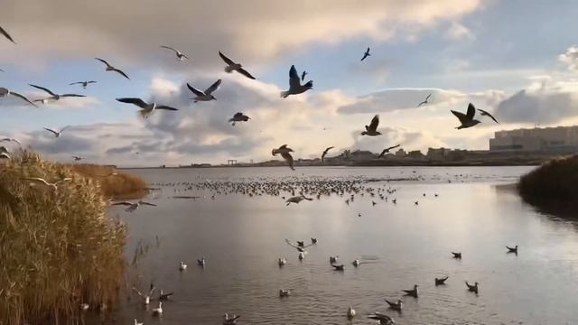 Новороссийск смотреть онлайн