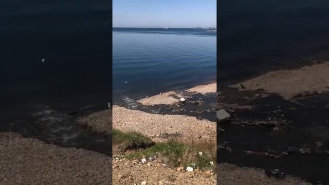 Центр города Владивостока сливают канализацию смотреть онлайн