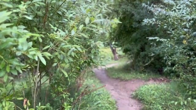 КАЗАХСТАН.ЛУЧШАЯ ВОДА В СЕМЕЕ, НО О НЕЙ НИКТО НЕ ЗНАЕТ! #семипалатинск