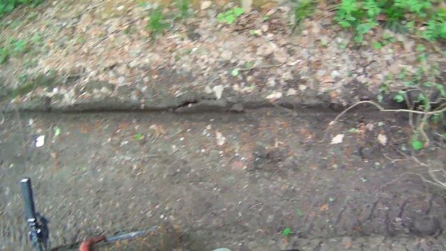 Лесные покатушки 3