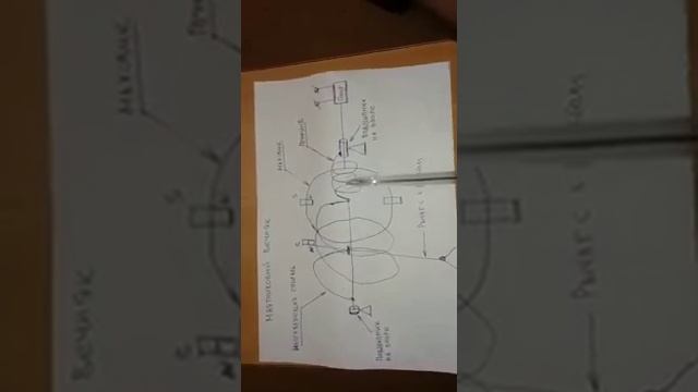 Маятник - качели БТГ от зрителя канала на обсуждение - Глобальная волна смотреть онлайн