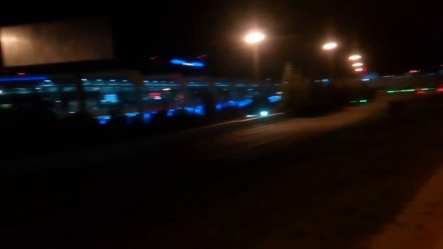 Радужный лес