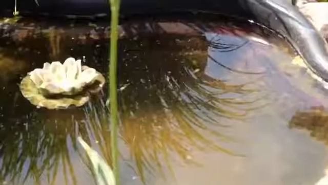 Испытываем пленку ISOBOX 110 1 смотреть онлайн