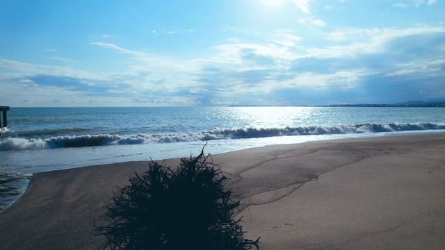 Пляж Синопа!