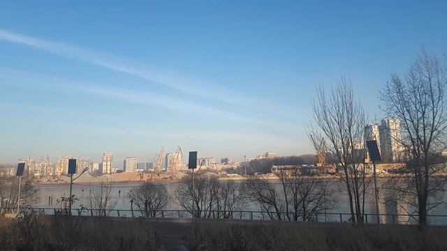 Массовое помешательство в Северном Тушино смотреть онлайн