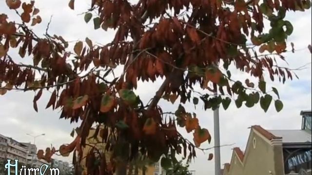 VLOG. Прогулки. У моря жизнь бурлит :) TURKEY. IZMIR. смотреть онлайн