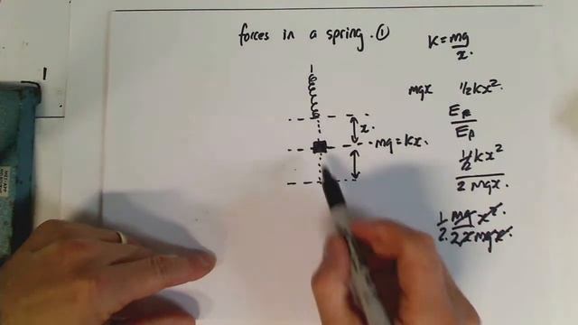 7 SHM forces in a bouncy spring 1 смотреть онлайн
