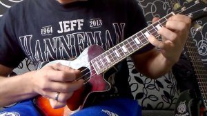 Луч солнца золотого укулеле