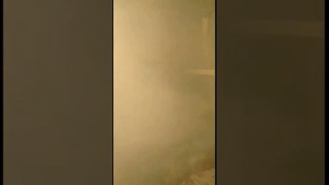 Посол Язя #рыбалка #рыба #язь #рецепты #деликатесы #сибирь #ПавелСИБИРЬ40 смотреть онлайн