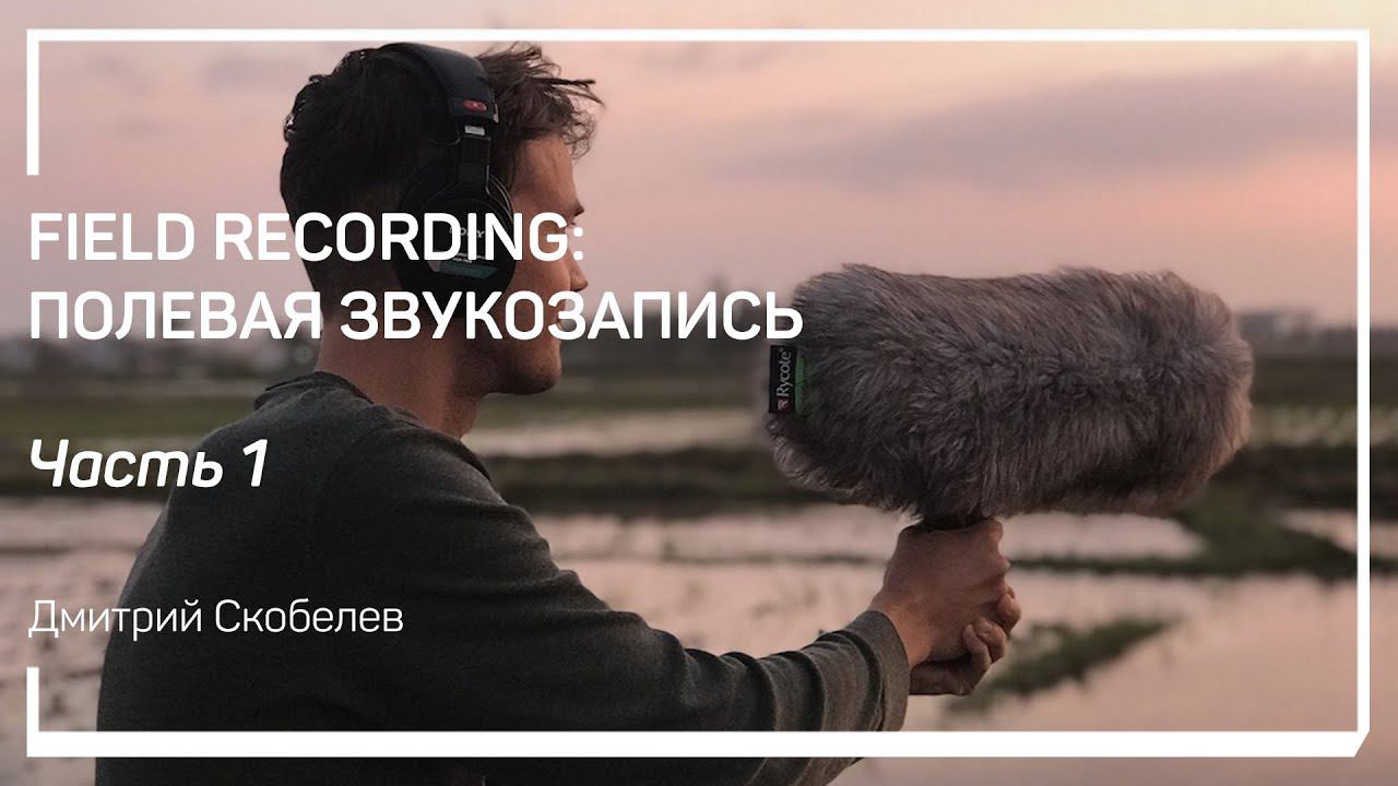 Для чего нужны полевые записи? Field Recording: полевая звукозапись. Дмитрий Скобелев