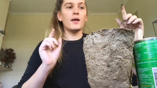 New plants | Mass repot and #gettingtoknowyou смотреть онлайн