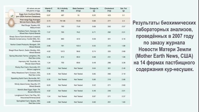 Пастбищное яйцо от вольных кур на зелёных лугах - Дары Северной Колхиды! смотреть онлайн