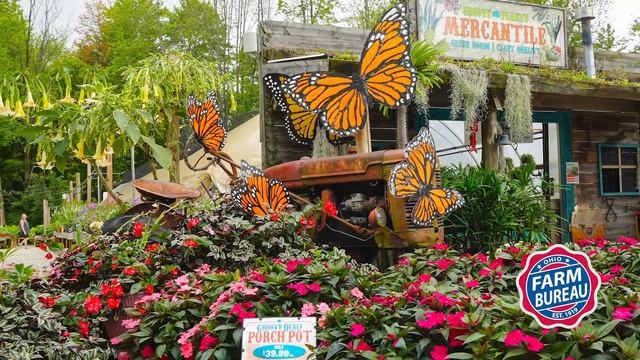 Our Ohio Magazine: Groovy Plants Ranch смотреть онлайн