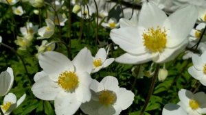 Двойная спираль 1 - 4 серии (сериал 2022)