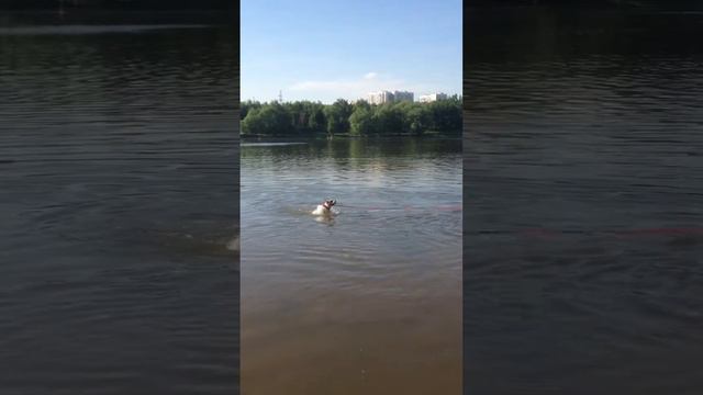 Вэки на Борисовских прудах-2 19.05.13 смотреть онлайн