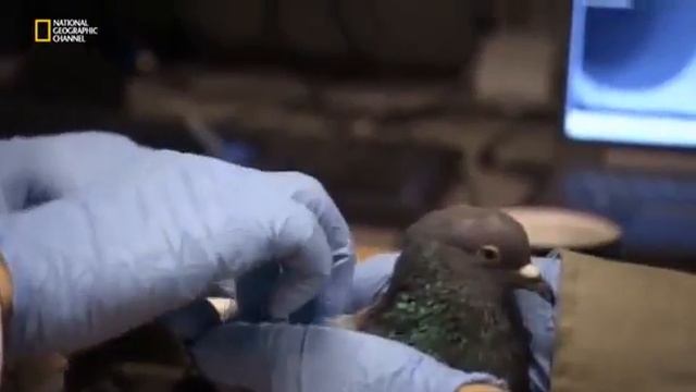 Наука будущего Стивена Хокинга 06 Гиперсвязи смотреть онлайн