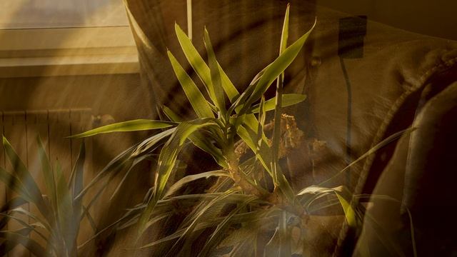 Рассвет, Москва 4K смотреть онлайн