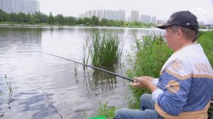 Ловля на маховое удилище