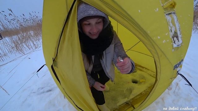 КОРЮШКА БРОНКА КРОНКОЛОНИЯ краткий отчет смотреть онлайн