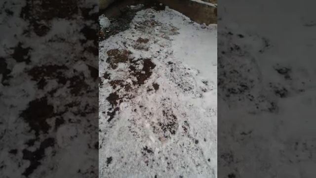 Скидываем машинку с 5 этажа!!!!!!! смотреть онлайн