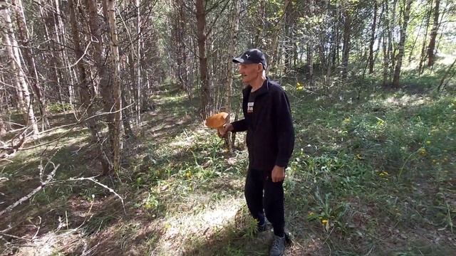 Одна порция закончилась, ждём следующую. смотреть онлайн