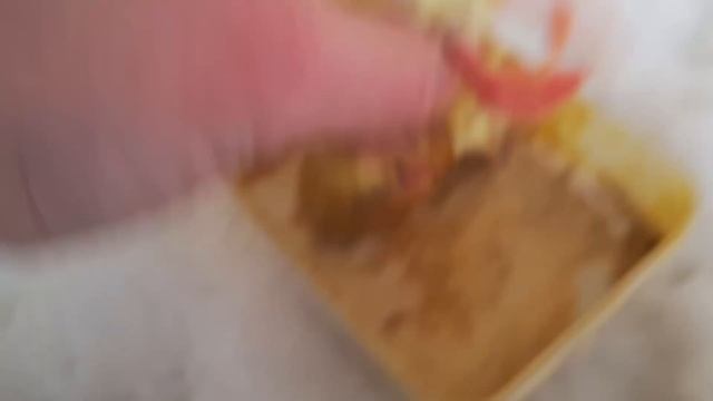 Новый Самец Сокол Балобан с Самкой / Время Сокола смотреть онлайн