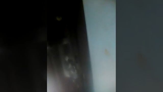 Сим сим откройся смотреть онлайн
