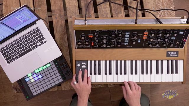 Moog Minimoog Model D Hip Hop Performance - Moog Minimoog Model D Keyboard Synthesizer