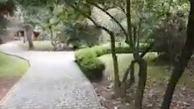 Причал?ЛАЗАРЕВСКОЕ СЕГОДНЯ?СОЧИ.