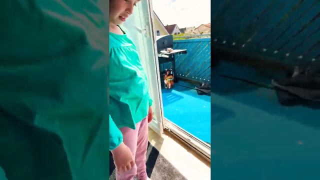 Лысая кошка сфинкс появилась у нас дома sphynx cat and little girl смотреть онлайн