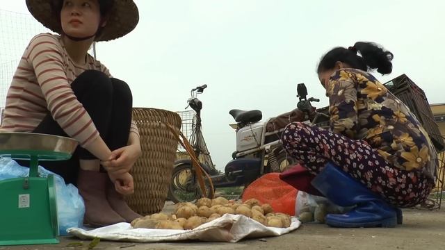 Harvest Potatoes with Farmers - A Bountiful Harvest - Going to the Market to Sell Potatoes смотреть онлайн