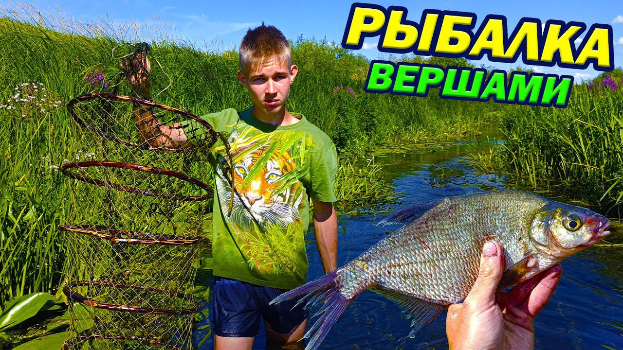 Рыбалка вершами на небольшой речке! Крупные лещи, караси и окуни! смотреть онлайн