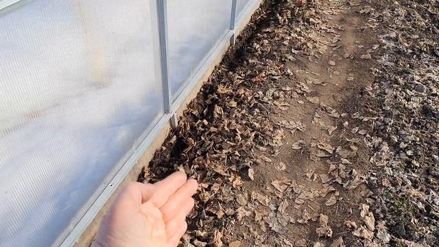 Начинаю работы в теплице. Посеяла салат и редис смотреть онлайн