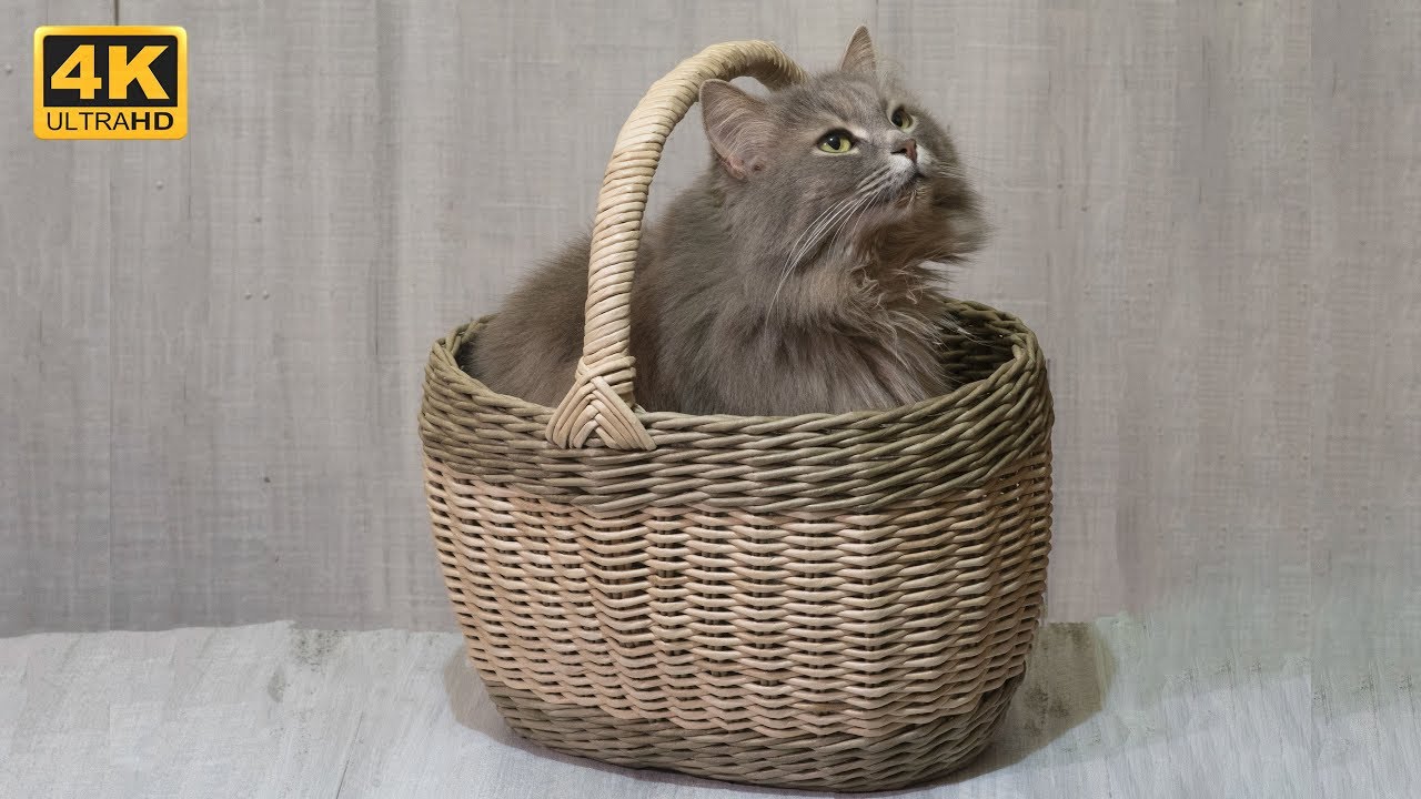 Добротная и красивая ручка для корзины. смотреть онлайн