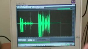 Система речевого оповещения Рокот 2