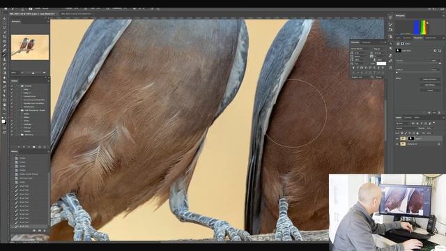 How To Edit Bird Photos Using Lightroom And Photoshop | Advanced Techniques From Start To Finish смотреть онлайн